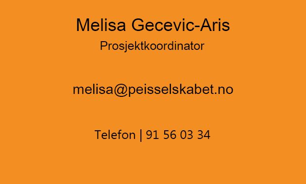 Melisa Gecevic-Aris, Prosjektkoordinator Peisselskabet
