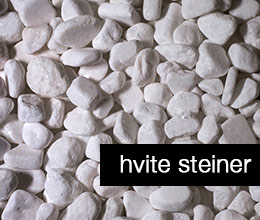 Sorte steiner
